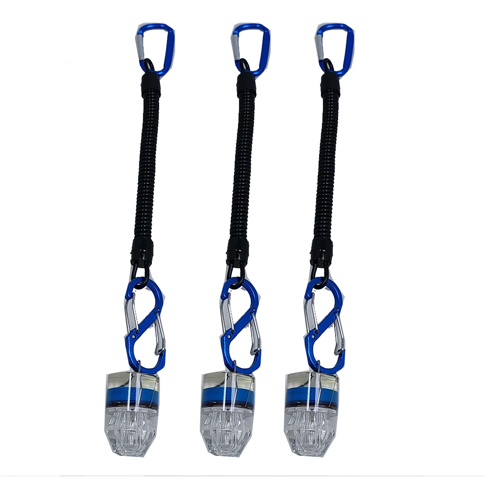 2-3PCS LED Fishing Lights With - đánh giá và giá Fish Alarm